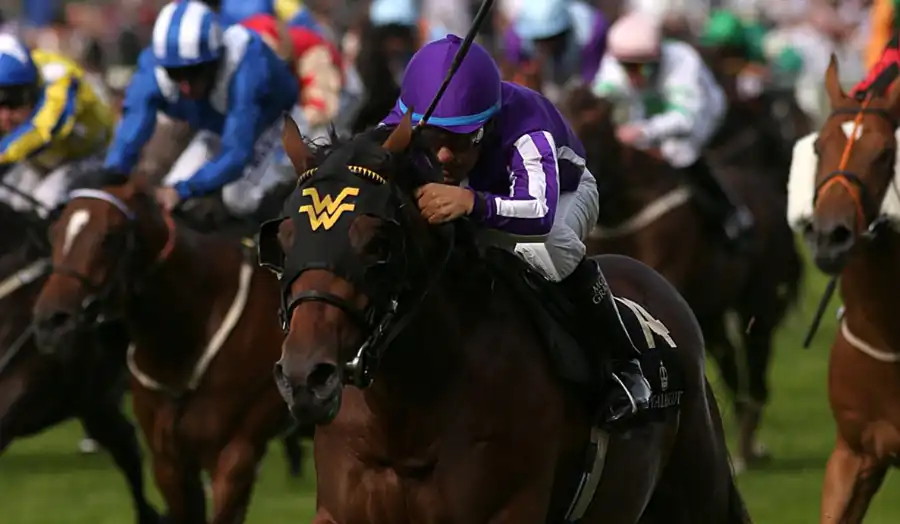 A Box Exacta bet horse racing is a variation of the standard Exacta bet in horse racing