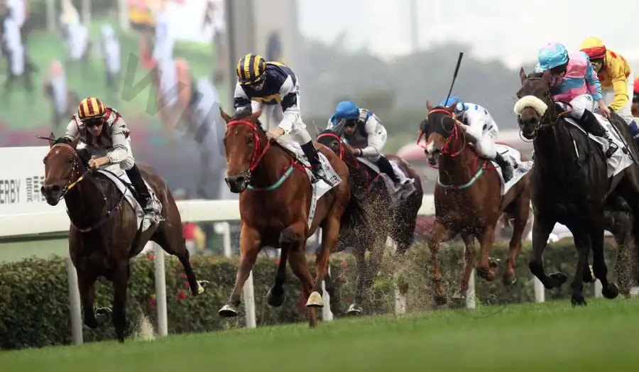 While adding more horses to your Box Exacta increases your chances of success, it also raises the total cost of your bet.