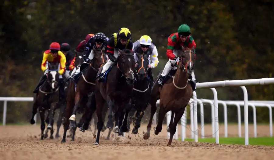 If you strongly believe that one horse will finish first, but are uncertain about the runner-up, consider an Exacta Key bet