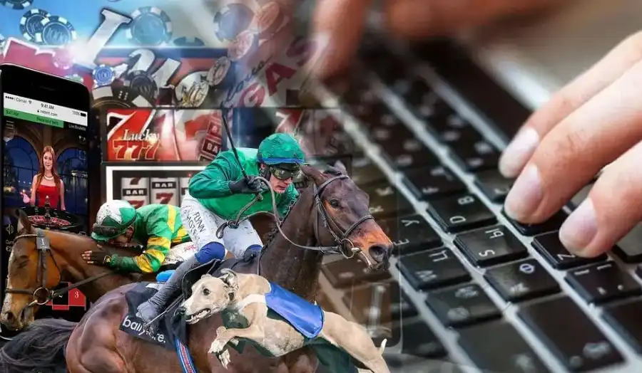 Box Exacta bets can get expensive, especially if you include multiple horses