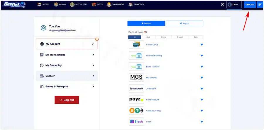 Login and then click on Deposit